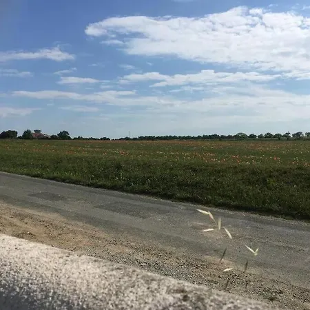 Aux portes de La Rochelle - Un air de campagne au bord de mer Marsilly  Extérieur photo